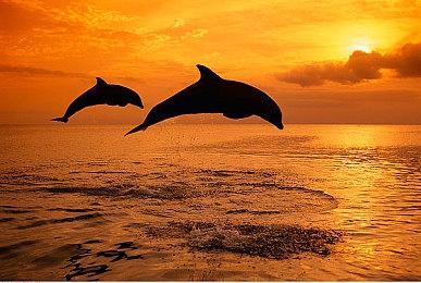 外媒报道《黑神话》首发成功：腾讯投资、创造了游戏历史